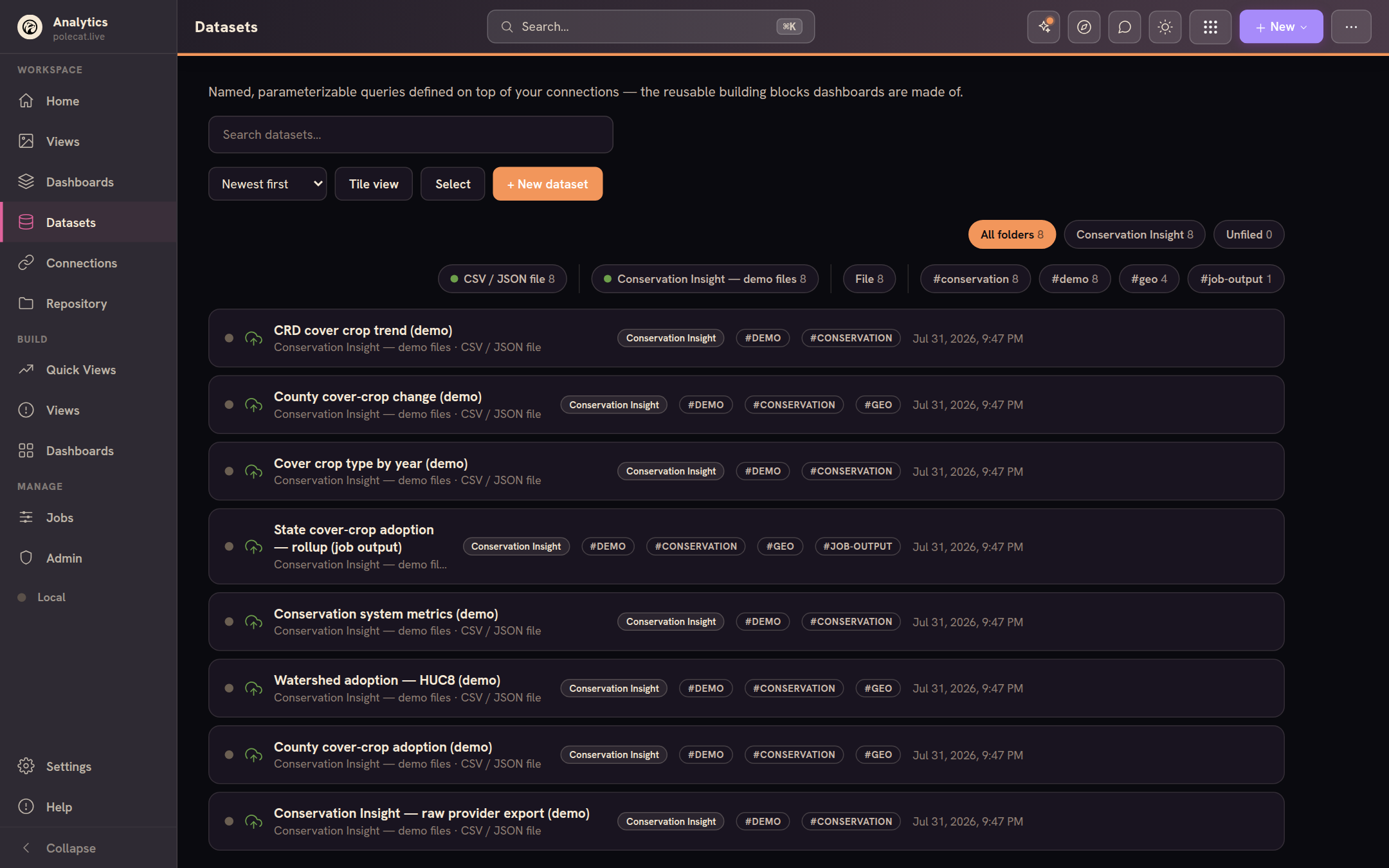 The Datasets workspace — reusable, tagged queries built on your connections